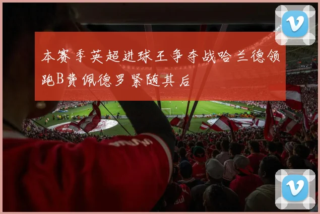 本赛季英超进球王争夺战哈兰德领跑B费佩德罗紧随其后