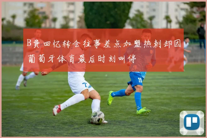 B费回忆转会往事差点加盟热刺却因葡萄牙体育最后时刻叫停