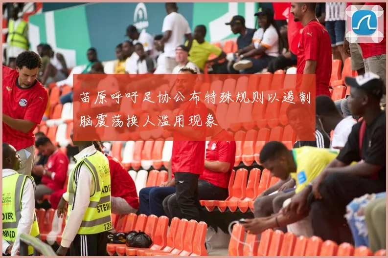 苗原呼吁足协公布特殊规则以遏制脑震荡换人滥用现象